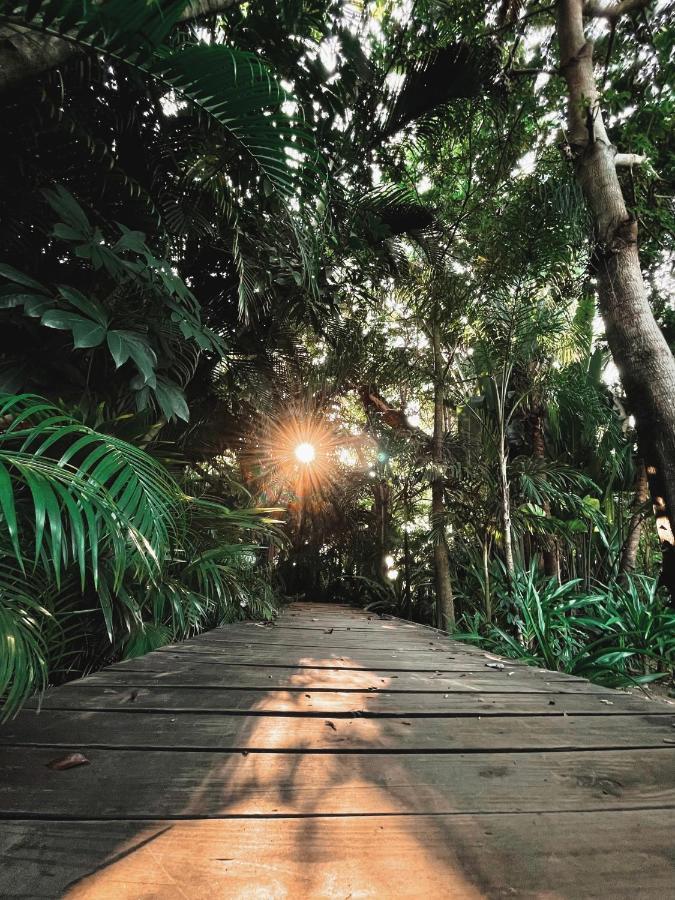 Вілла Jardin Secreto Centro Holistico Акапулько Екстер'єр фото