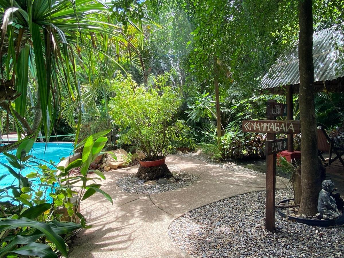 Вілла Jardin Secreto Centro Holistico Акапулько Екстер'єр фото