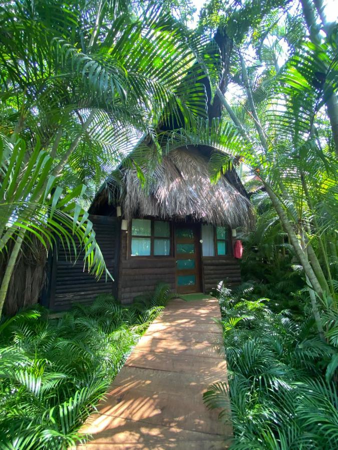 Вілла Jardin Secreto Centro Holistico Акапулько Екстер'єр фото